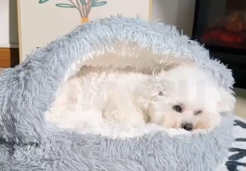 Cama Terapéutica Cocoon Pilcozy