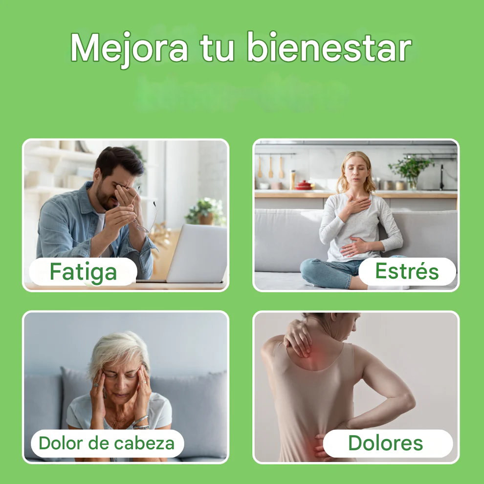 Parches de desintoxicación EcoPatch