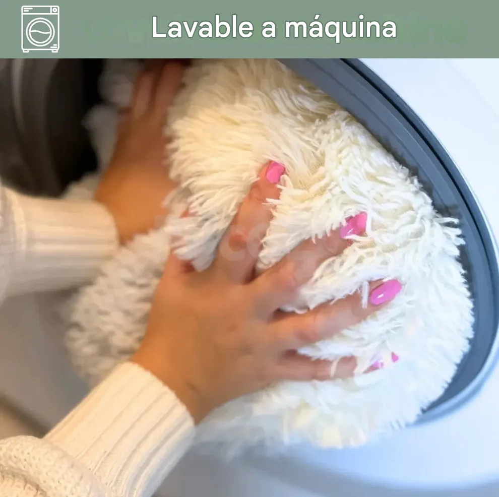 Cama Terapéutica Cocoon Pilcozy