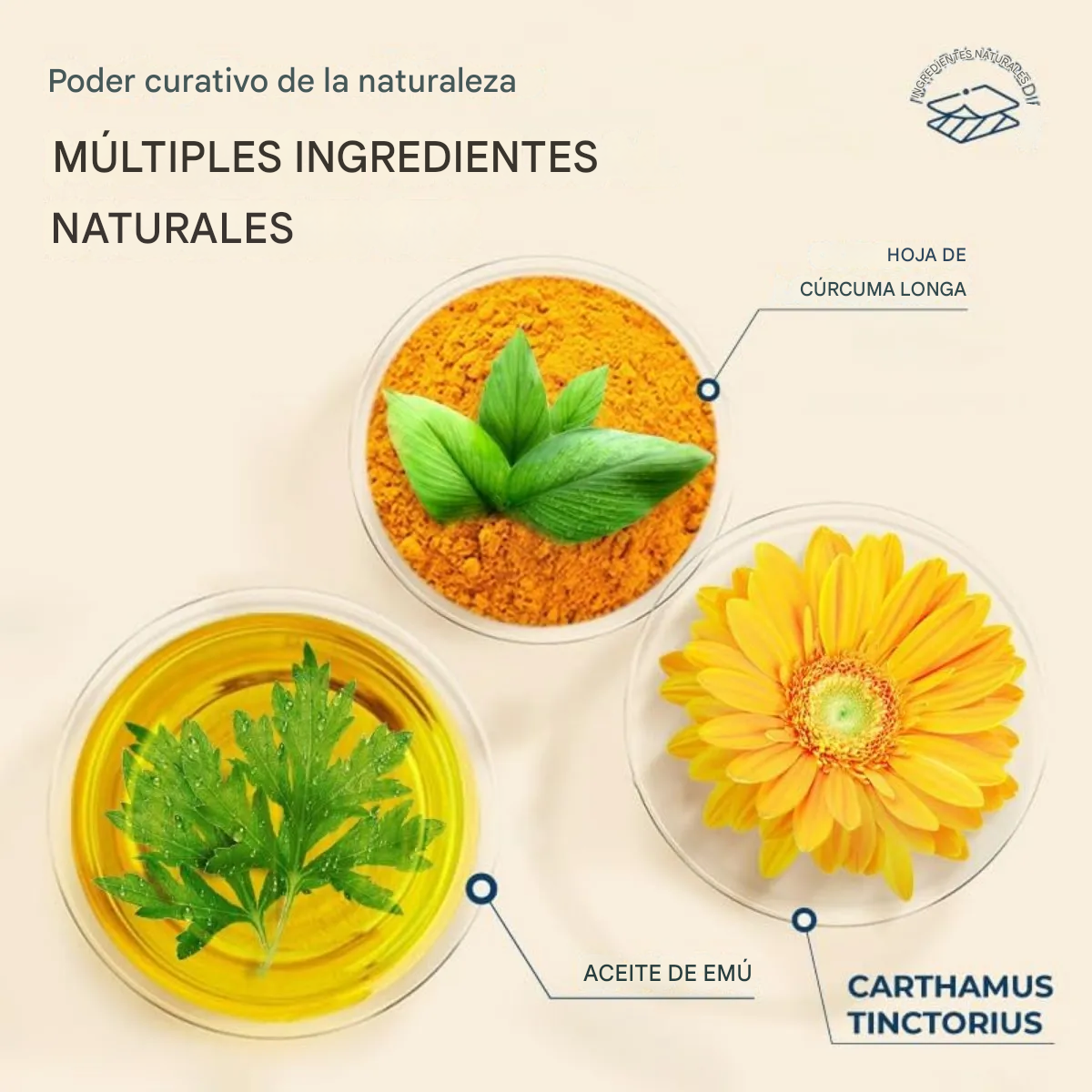 Parche Calmante, Parches Tópicos Para Aliviar El Dolor