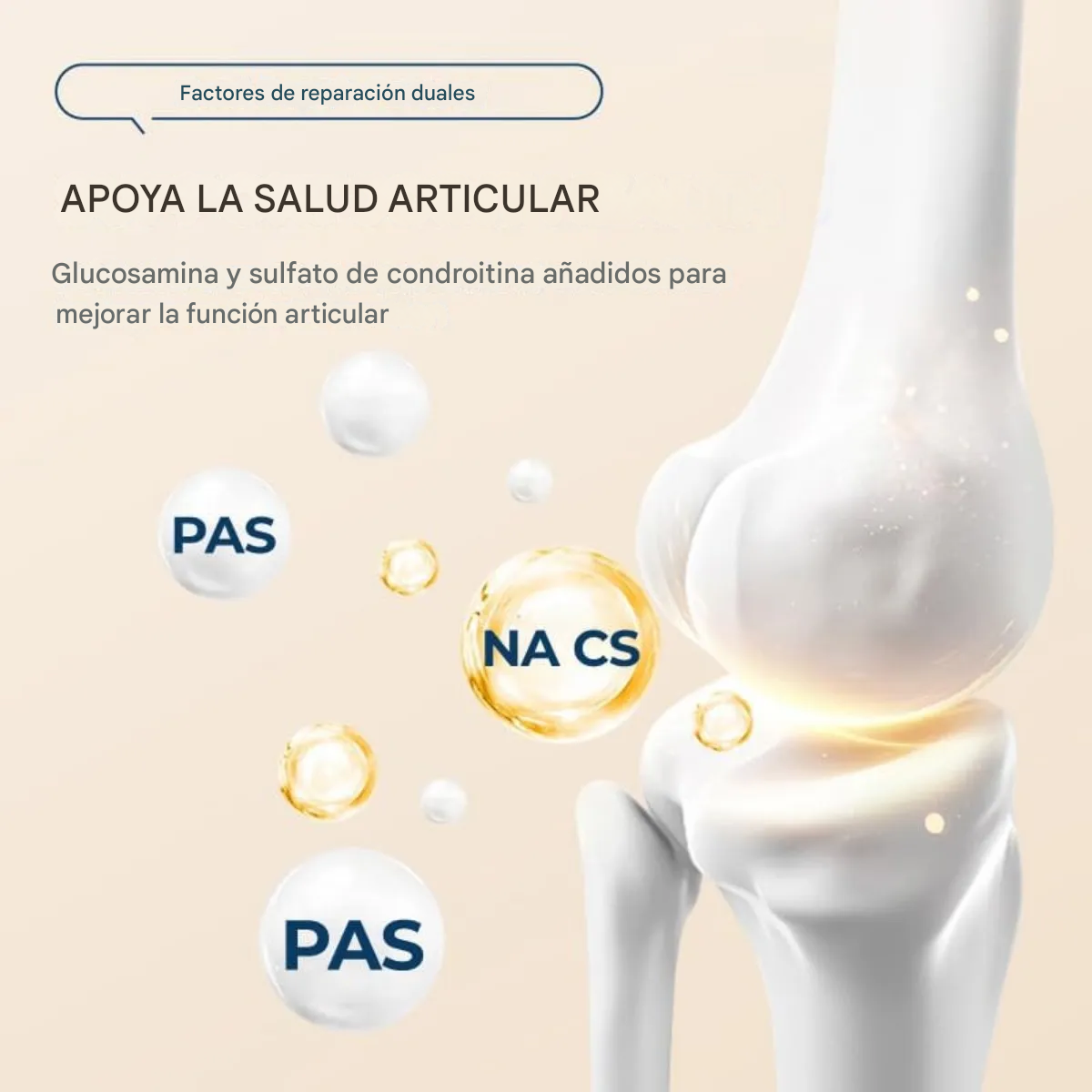 Parche Calmante, Parches Tópicos Para Aliviar El Dolor