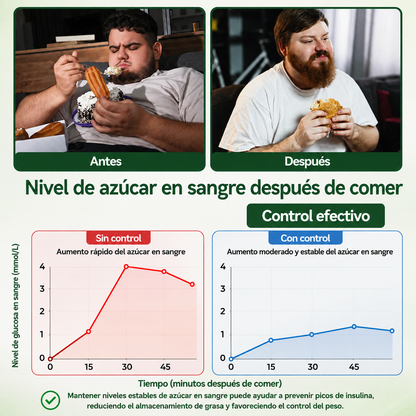 Parche De Microagujas Nano Avanzado 10 En 1 - Moringa Y Berberina