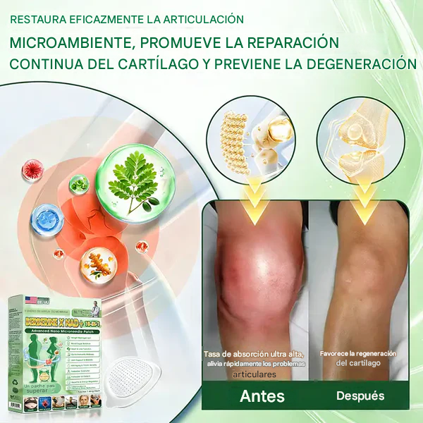🧑‍⚕️🩺 Moringa · Berberina × NAD+ 10-in-1 Paquete de Moringa de Nino Advanced — Solo Día, Visibelio 𝐑𝐞𝐬𝐮𝐥𝐭𝐬 𝐢𝐧 𝟕 𝐃𝐚𝐲𝐬✨