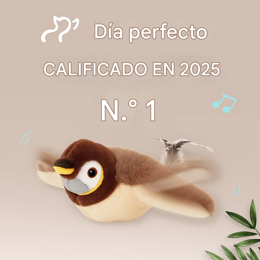 (PAGA 1 LLEVA 2🚨) Pájaro aleteando 2.0